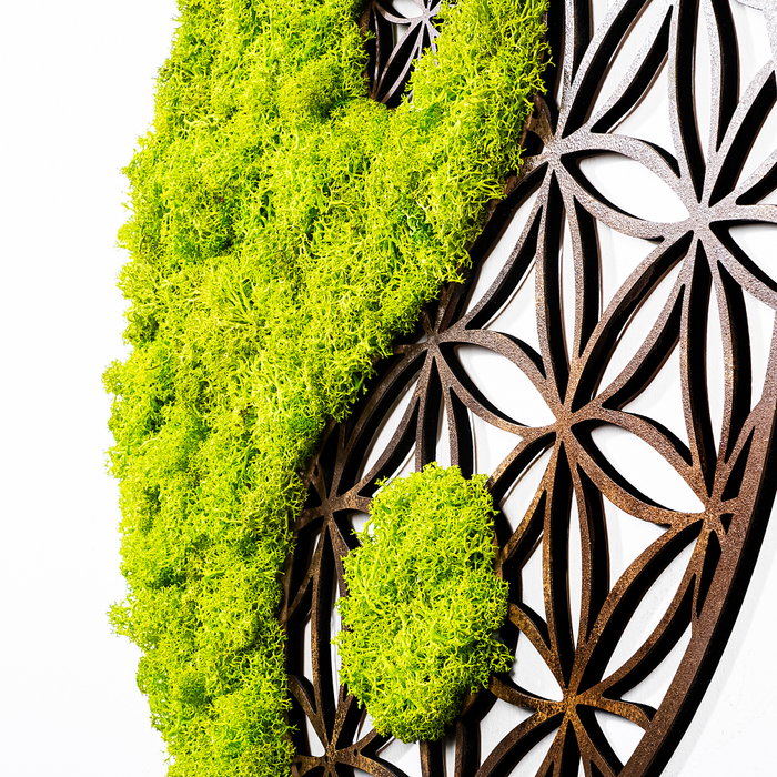 Wallity Yin Yang Accesorio decorativo de pared